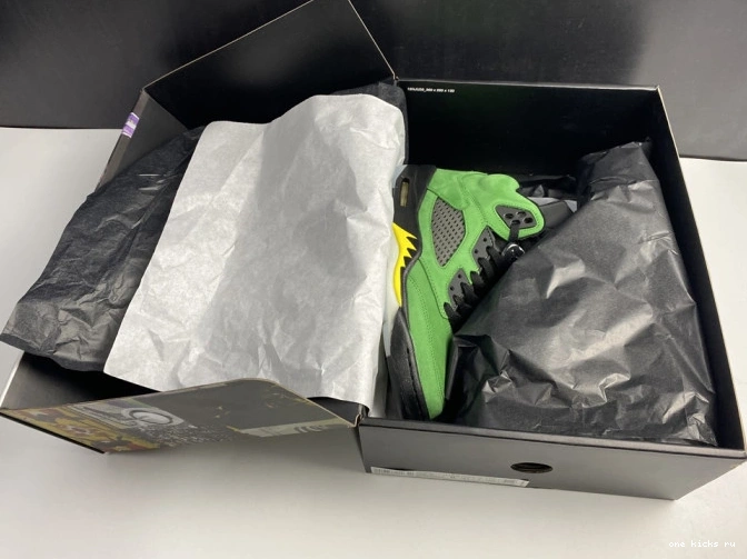 Chep Onekick SE Jordan Air Ducks Oregon 5 CK6631-307 0531